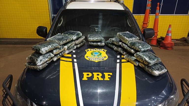 Fiscalização da PRF resulta em apreensão de skunk na BR-364