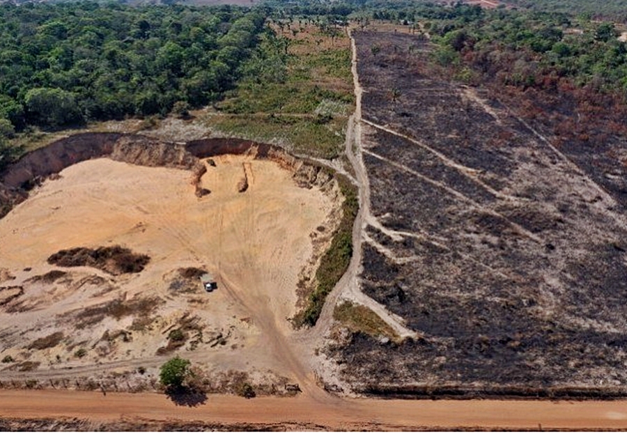 MPF acusa empresa de extração clandestina milionária e destruição