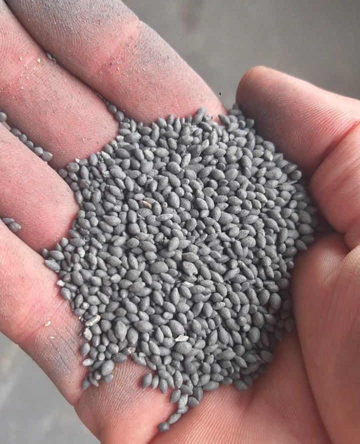 Atenção! Troco sementes de pastagem por motocicleta; Clique e Veja como