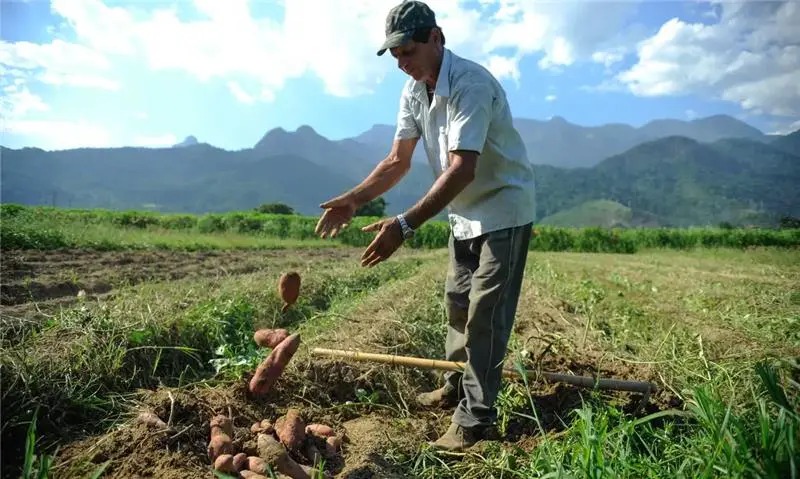 Governo articula rejeição a projeto de dívidas do agronegócio
