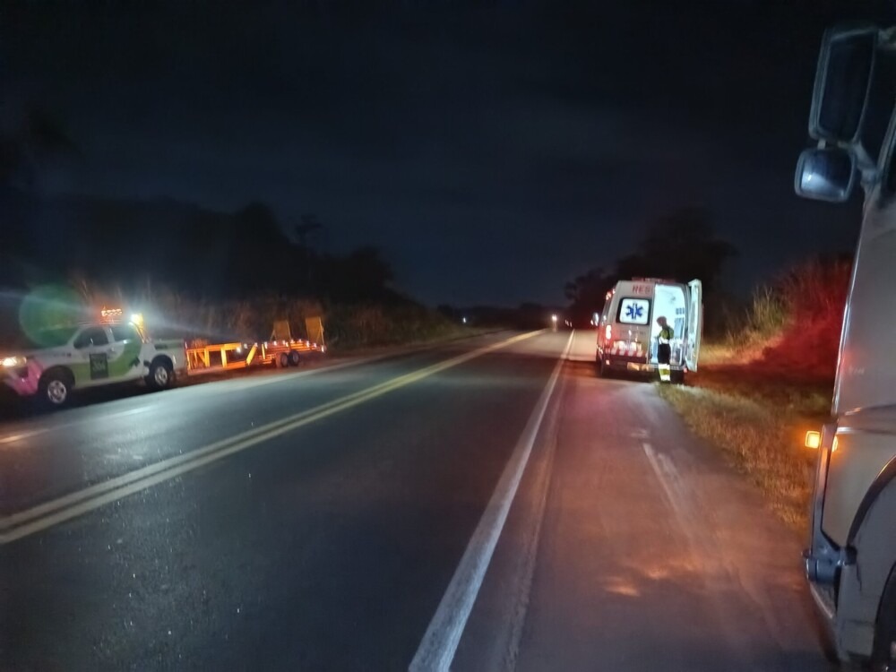 Animal solto provoca acidente na BR-364 entre Jaru e Ouro Preto do Oeste