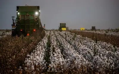 Câmara avança com reforma que visa modernizar o seguro rural