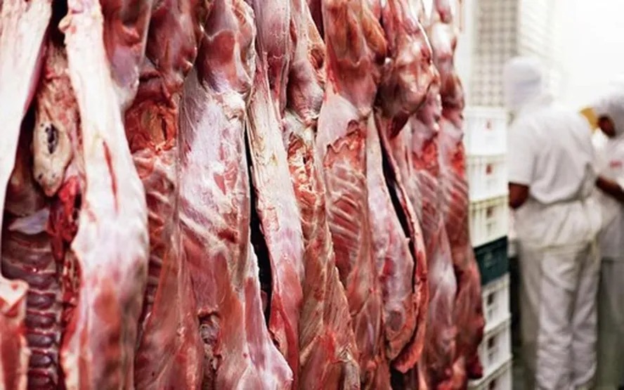 Abate de bovinos para China começa a cair em frigoríficos brasileiros