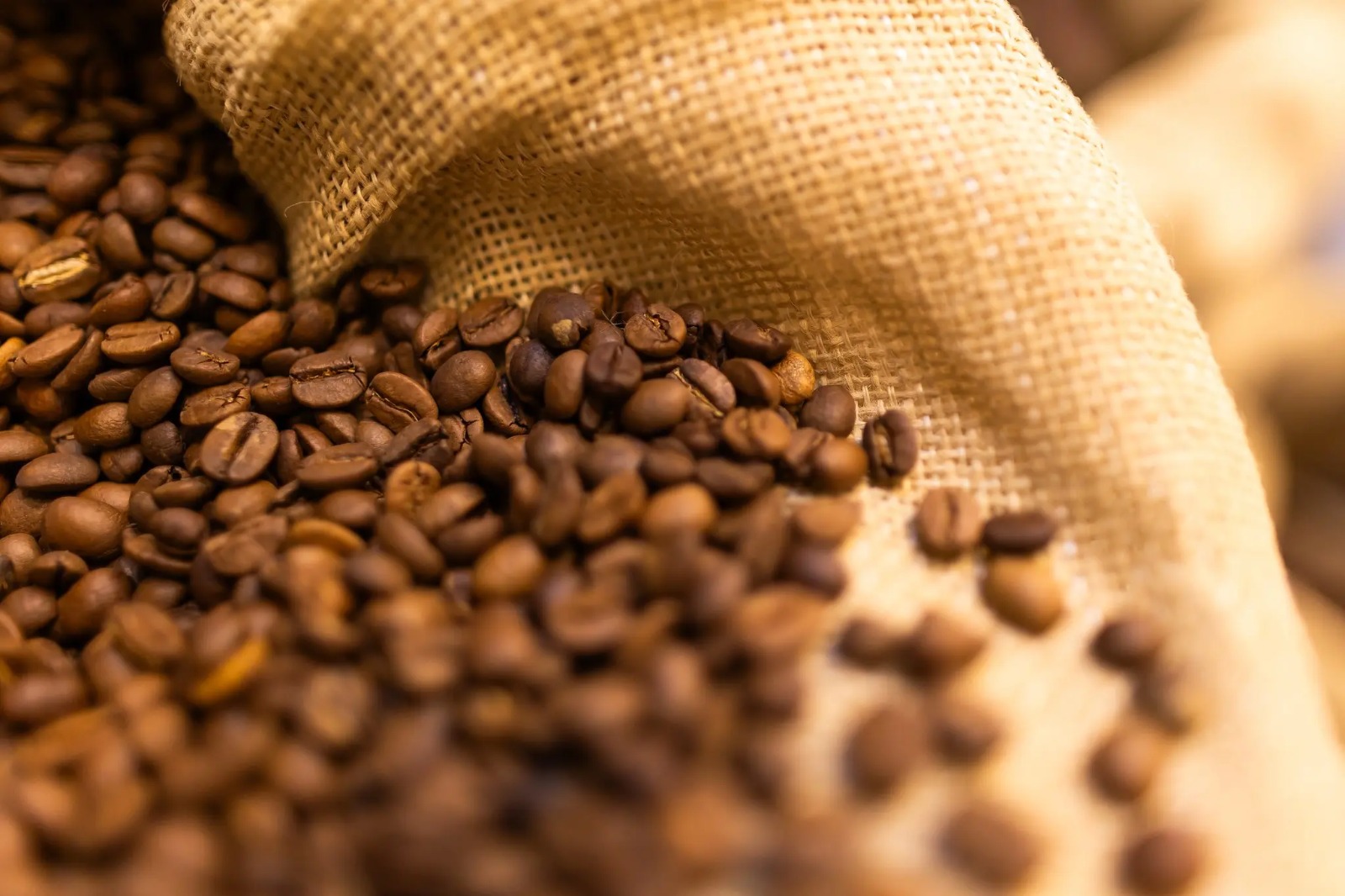 Bolsas de Nova York apontam queda no cacau e no café