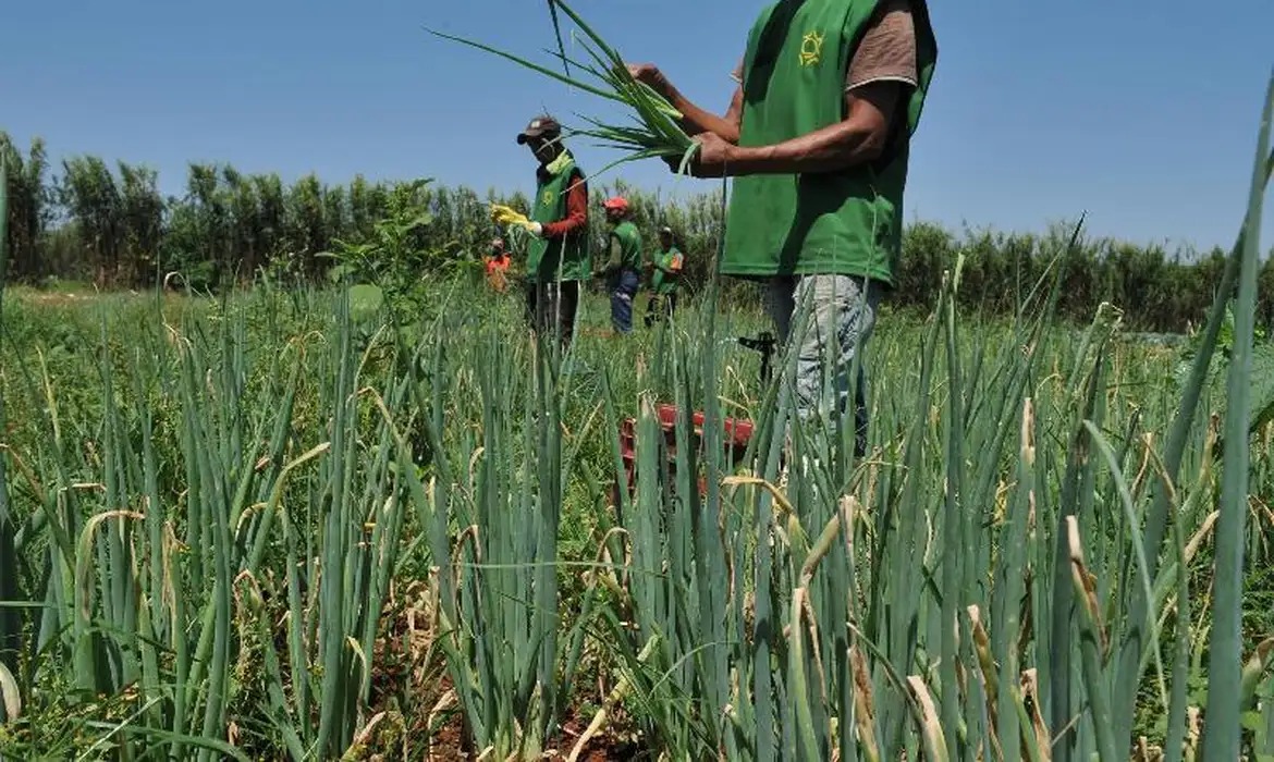 Setor agropecuário tem retração e encerra abril com perda de vagas formais