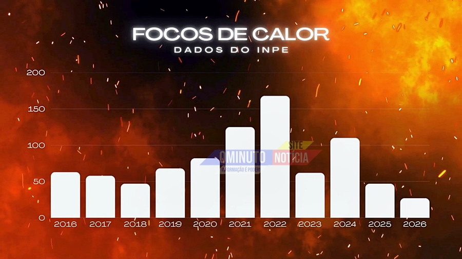 Imagem 3