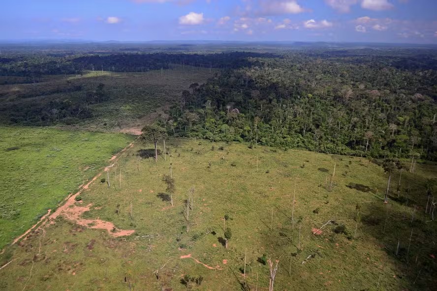Governo levará informações sobre desmatamento ao público americano, afirma Lula
