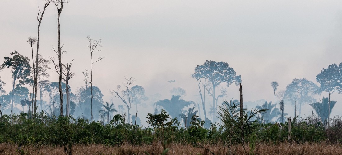 Ibama intensifica combate ao fogo na Amazônia com Operação Apoena