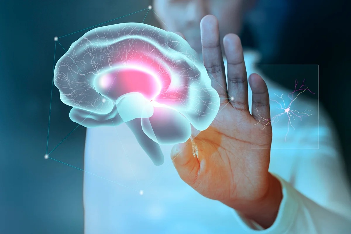 Vitamina B3 surge como aliada no combate a tumor cerebral agressivo