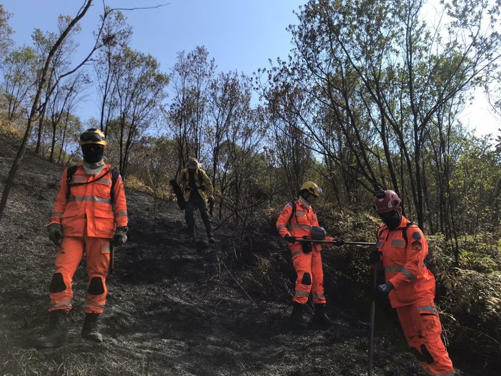 Corpo de Bombeiros abre vagas para brigadistas temporários em Rondônia