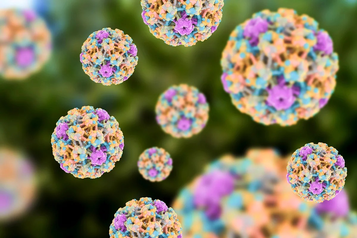 Falta de método de detecção torna diagnóstico de HPV em homens mais difícil