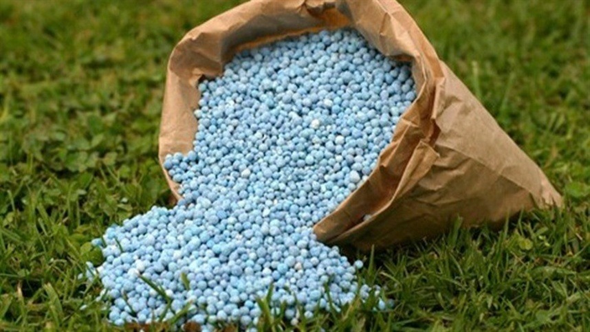 Fertilizantes como ureia, MAP e potássio têm queda de preços no país