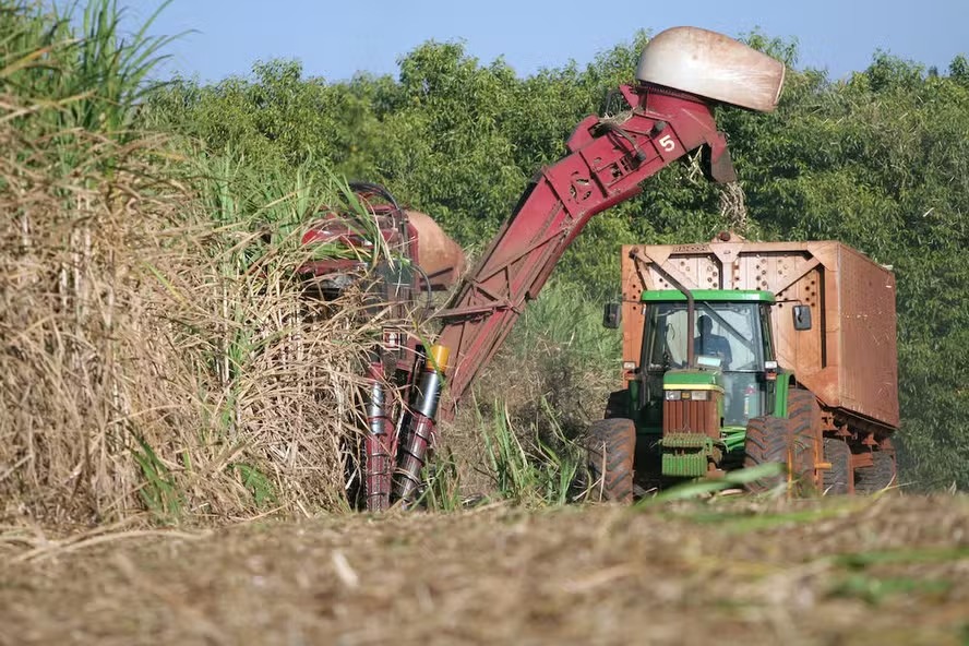 Impacto das chuvas na cana encarece etanol e açúcar