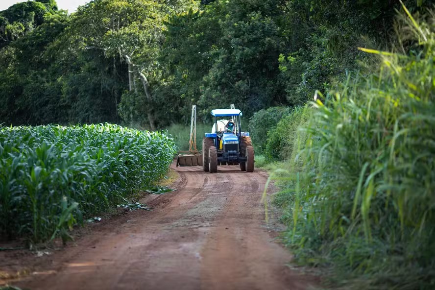 CMN pode dar prioridade a contratos com seguro rural em renegociação de dívidas