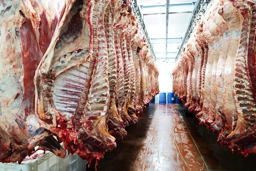 Exportações de carne bovina batem recorde histórico para junho