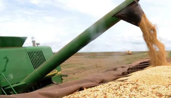 Setor agro impulsiona exportações brasileiras com crescimento de 14% em junho