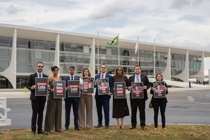 Proteção animal cobra aprovação final de projeto que proíbe o foie gras