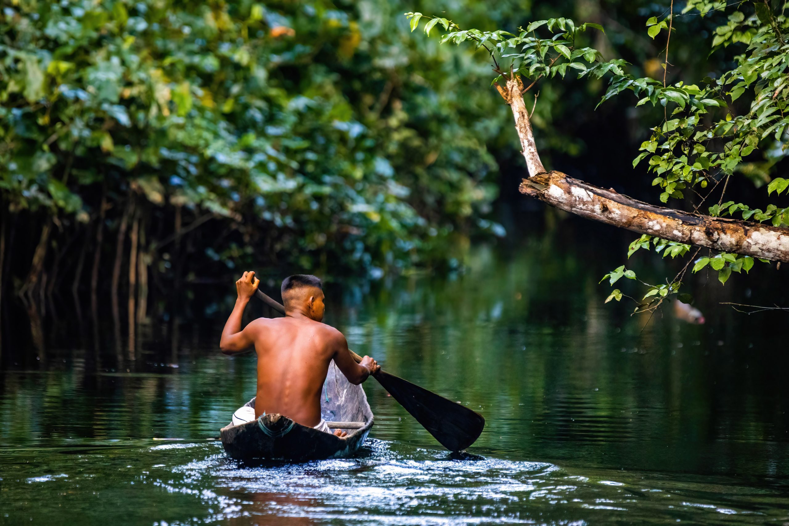 Povos Originários fortalecem o monitoramento da biodiversidade na Amazônia