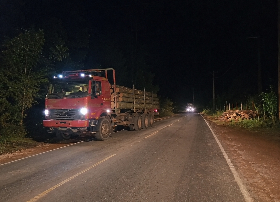 Toras caem de caminhão e deixam tráfego lento na Rodovia do Café