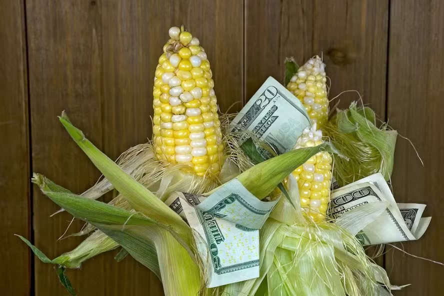 Crédito rural mais arriscado deve elevar custos de financiamento em 2026/27