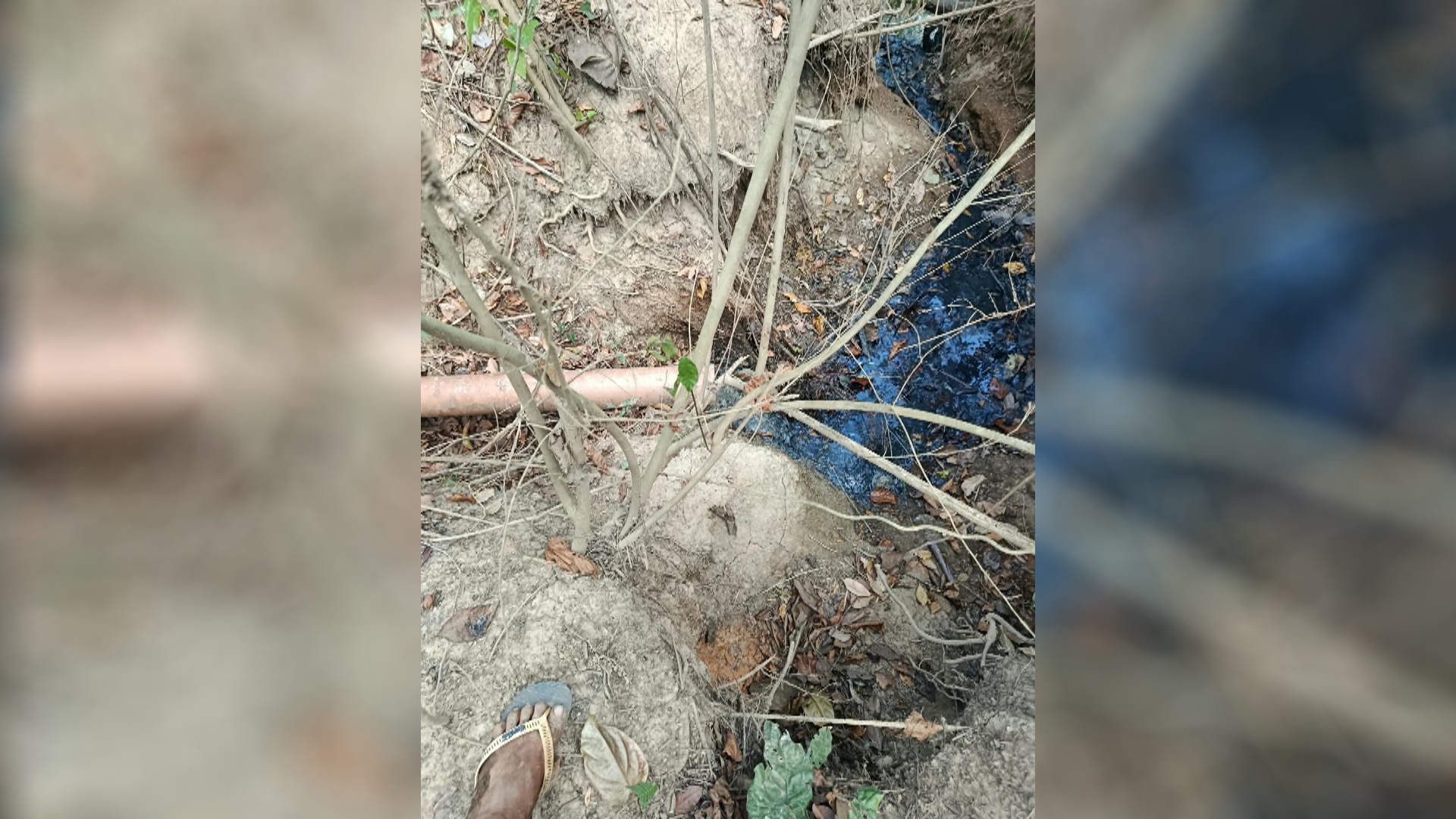 Denúncia aponta despejo irregular de esgoto no Rio Pirarara, em Cacoal, RO