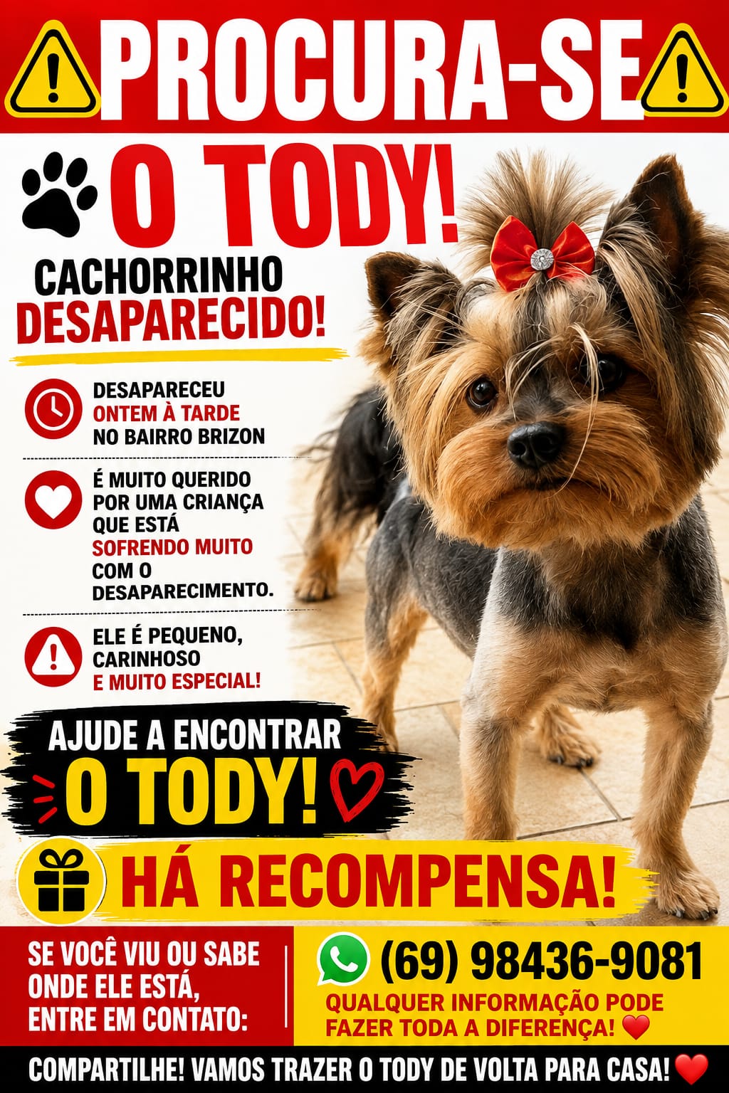 Família procura por Tody, cachorrinho desaparecido no bairro Brizon; há recompensa