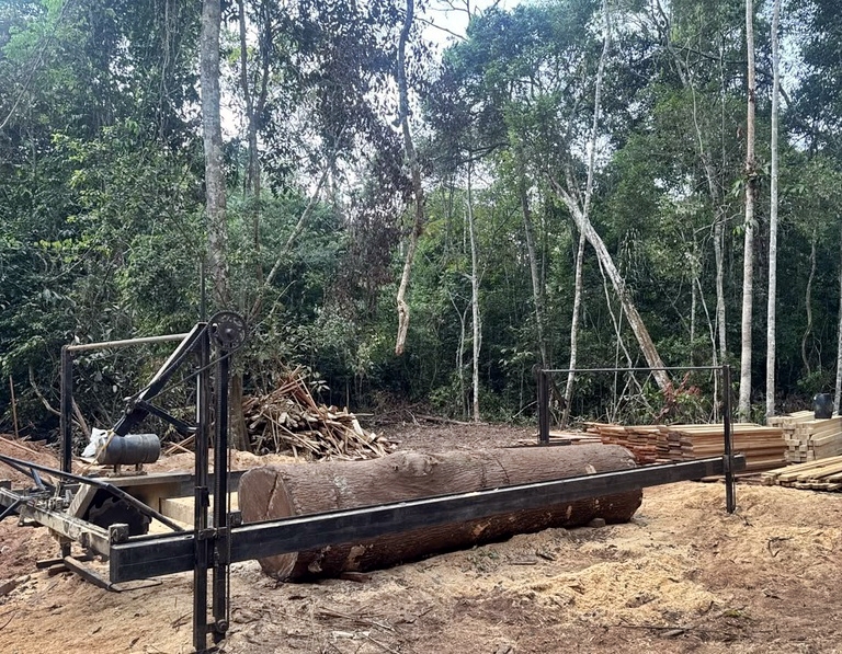 PF combate extração ilegal de madeira em Terra Indígena no interior de Rondônia