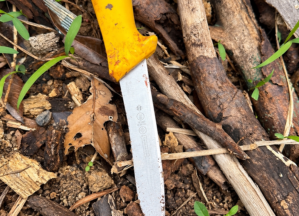 Homem é morto a facadas em Ji-Paraná; suspeito foi preso durante a fuga