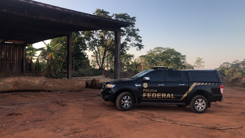 PF cumpre 19 mandados em investigação sobre madeira retirada de terras indígenas