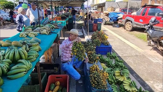 Projeto Vale Feira em Cacoal prevê benefício para mais de 2,7 mil servidores