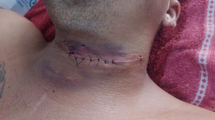 Imagem 3