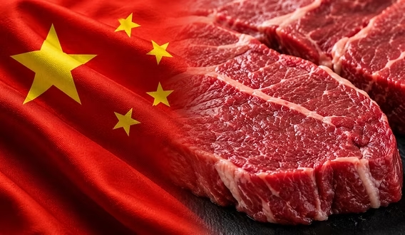 China aplica tarifa adicional de 55% à carne bovina brasileira