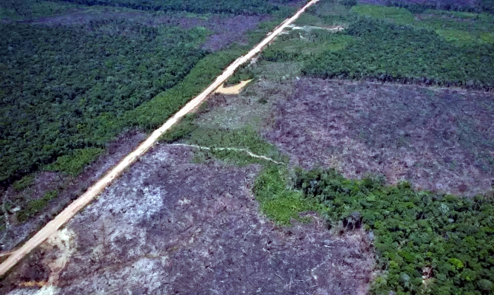 Rondônia registra redução de 34,9% na área desmatada, informa governo