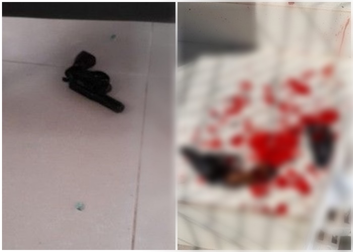 (Vídeo) Dois suspeitos armados são baleados durante assalto a comercio de Ji-Paraná, RO, nesta terça-feira