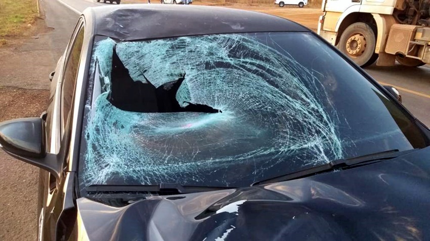 Servidora pública do Instituto do Rim em Vilhena, morre atropelada na BR-364, durante a madrugada