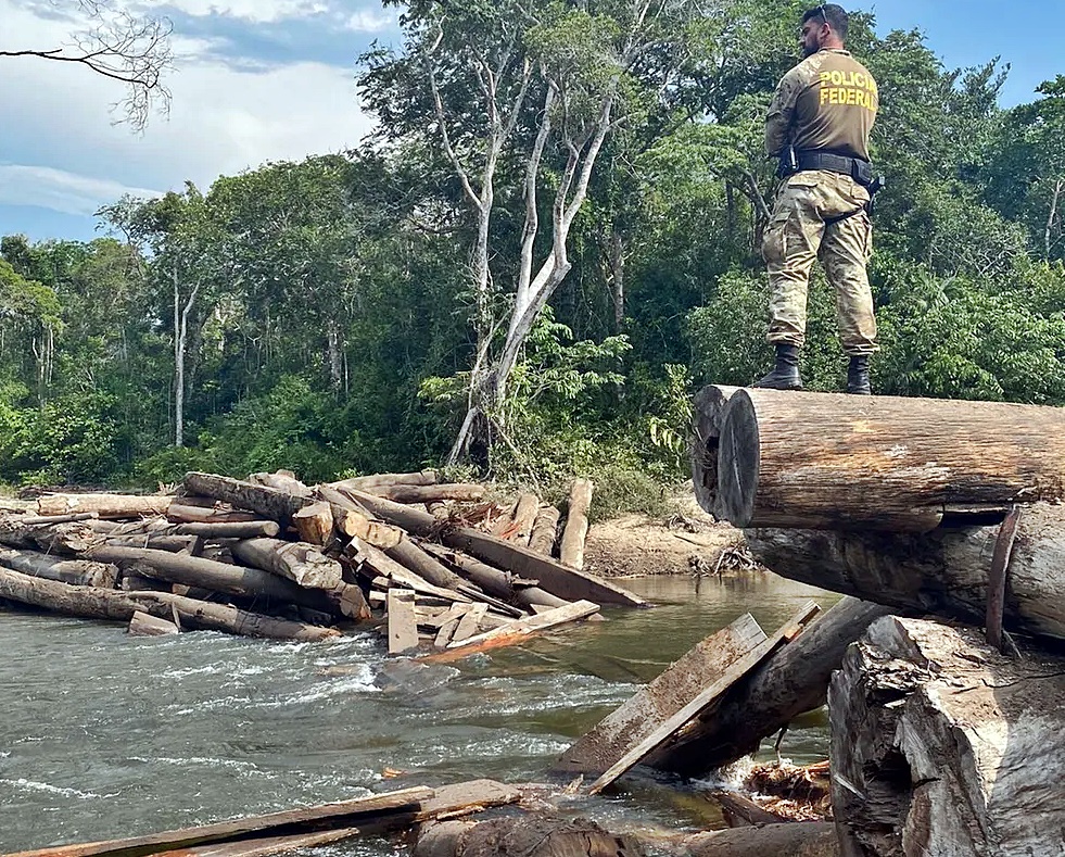 Carros de luxo, caminhões e R$ 175 mil são apreendidos em operação contra desmatamento em terras indígenas