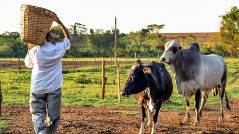 Dr. Luís do Hospital fala sobre importante projeto aprovado nesta segunda-feira (28), na Câmara Municipal de Jaru, RO