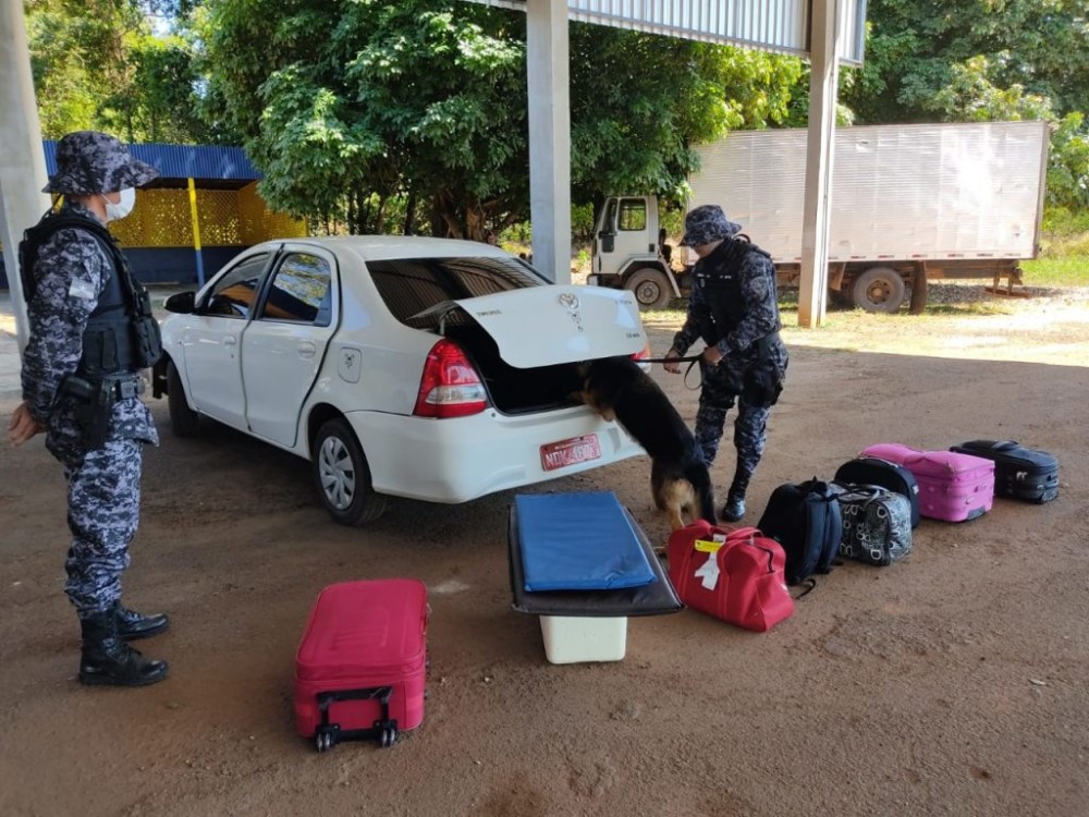 Polícia Militar reforça policiamento com uso de cães no Estado de Rondônia