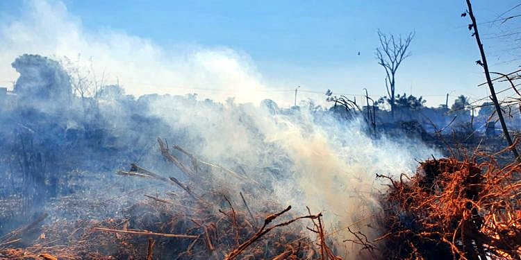 Queimada é crime! Quem quiser e puder, há canais para denúncias em Jaru, RO