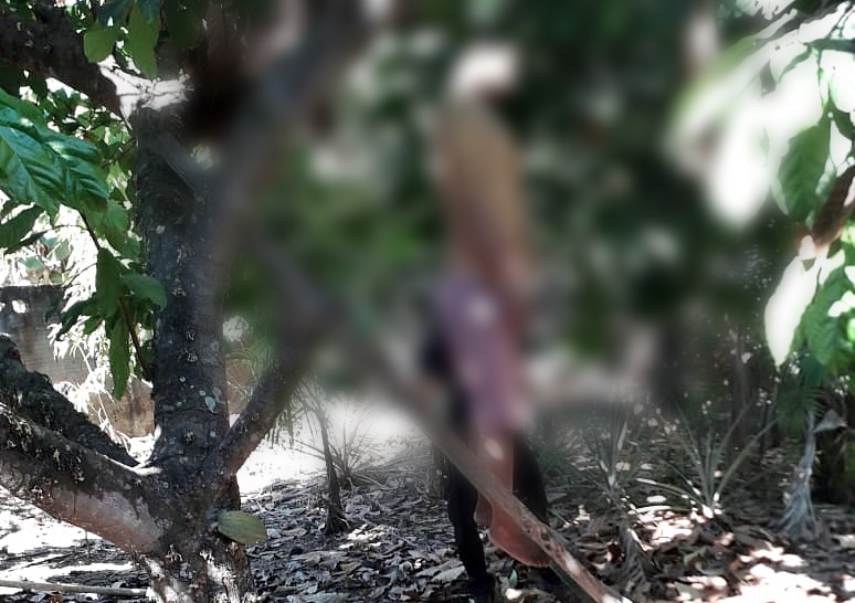 Caminhoneiro se enforca em pé de cacau nos fundos da residência, neste domingo, em Jaru, RO