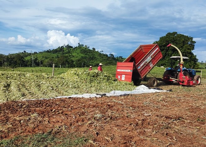 Semat realiza a colheita de silagem na Linha 126, sitio do senhor Tito em Presidente Médici, RO