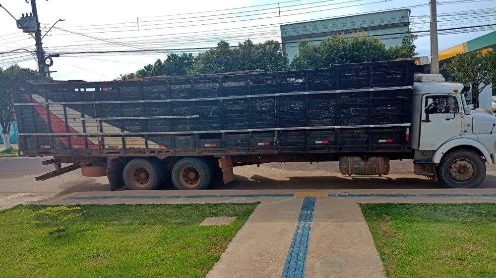 Dois homens são presos suspeitos de roubo de gado em Rio Pardo, RO