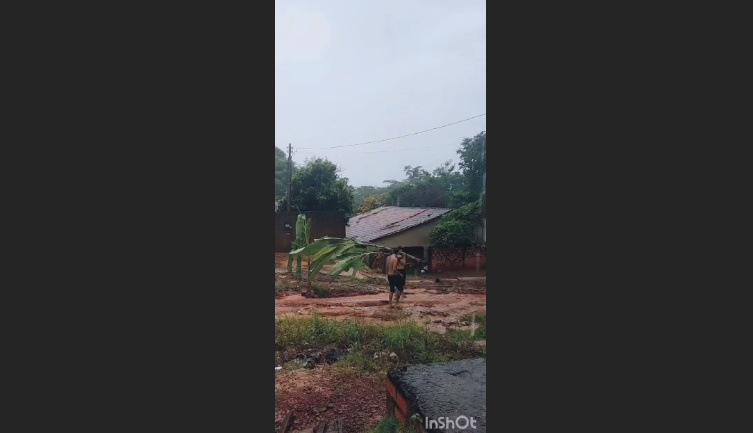 Vídeo de jaruenses plantando bananeira em rua com muitos buracos viraliza