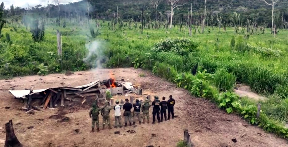 PF realiza operação em reservas ambientais em Rondônia