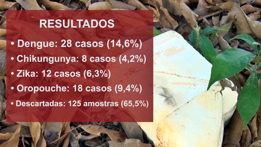 Vigilância em Saúde divulga números elevados de arboviroses em Cacoal