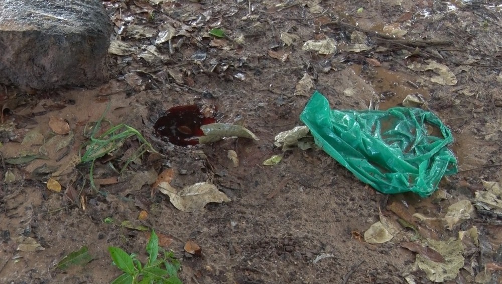 Identificado corpo de idoso carbonizado no Habitar Brasil, em Cacoal