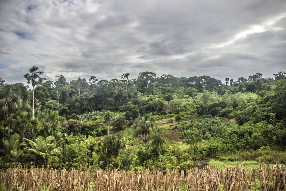 Policiais militares são condenados por cobrança de propina em Machadinho do Oeste, RO
