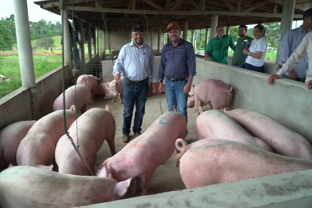 Projeto apoiado por Cirone vence concurso do Sebrae