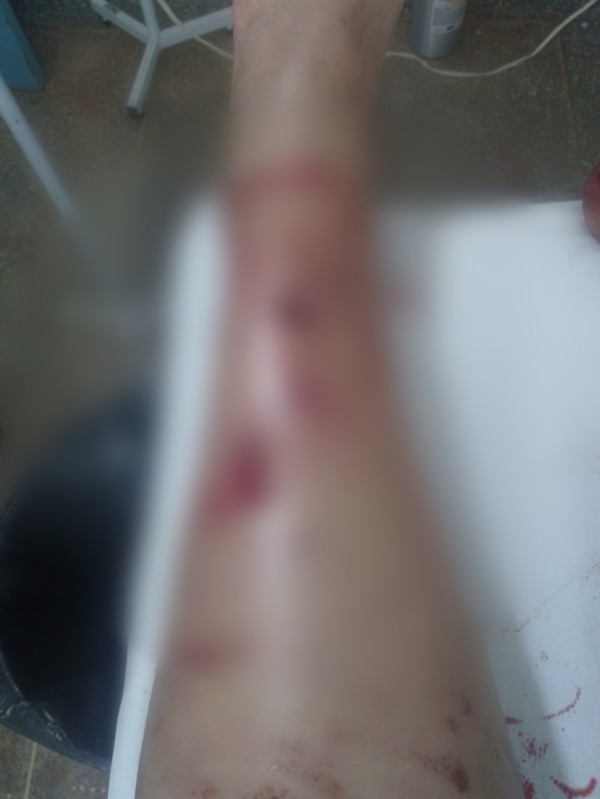 Imagem 1