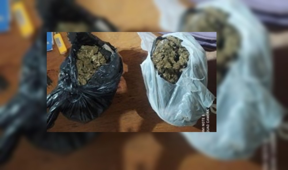 Polícia Militar apreende quase 1 kg de maconha em Pimenteiras, RO
